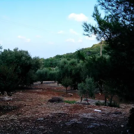 Holiday home Orto Degli Ulivi
