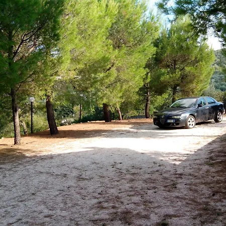 Orto Degli Ulivi * Monopoli