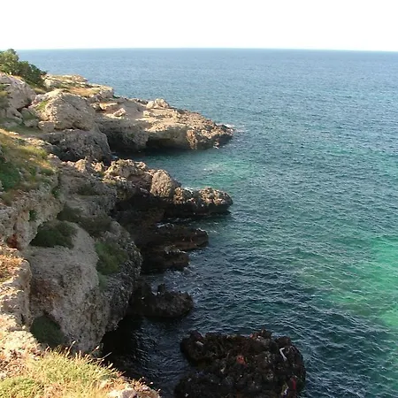 Holiday home Orto Degli Ulivi
