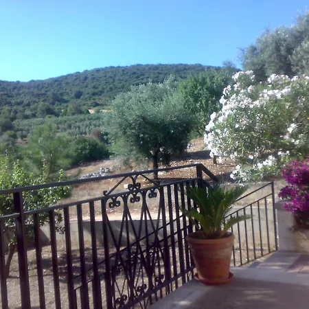 Orto Degli Ulivi